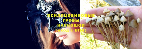 МДПВ Арсеньев
