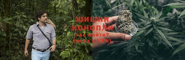 винт Аркадак