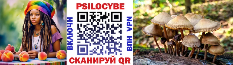 Галлюциногенные грибы Magic Shrooms  Вяземский 